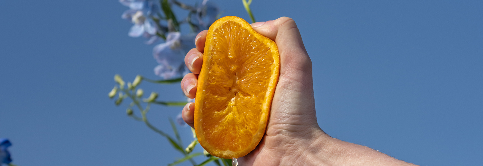 All about Vitamin C