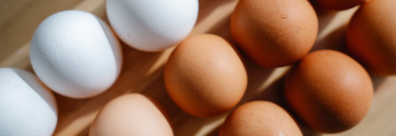 All About Proteins
