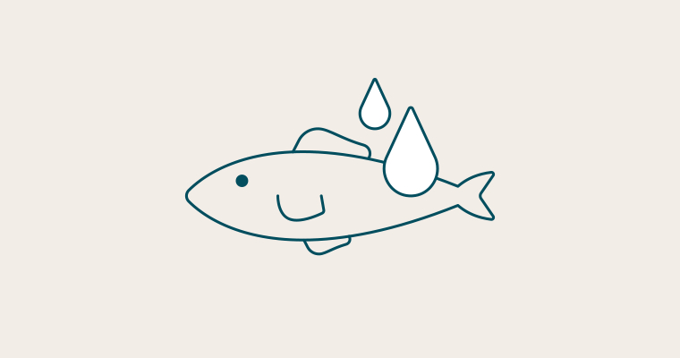 Omega & fish oil
